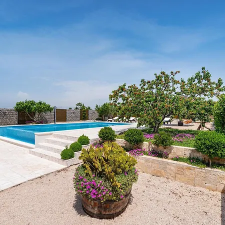 Modern In With Pool *